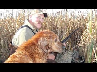 The Canadian Tradition - White Fronts