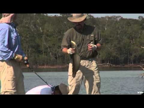 Wild Sheep Foundations Hittin the Outdoors - Big Game Fishing