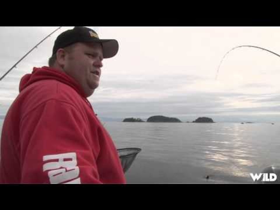 BC Outdoors Sport Fishing - Telling Tales of Salmon