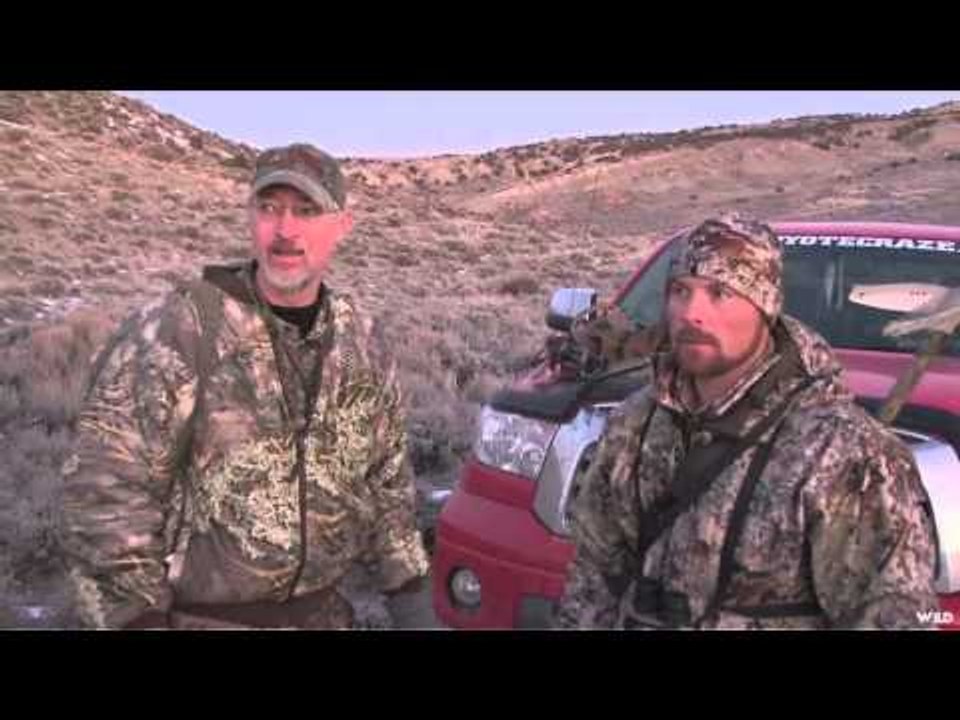 MOJOs Coming to the Call - Calling Coyotes With Coyote Craze