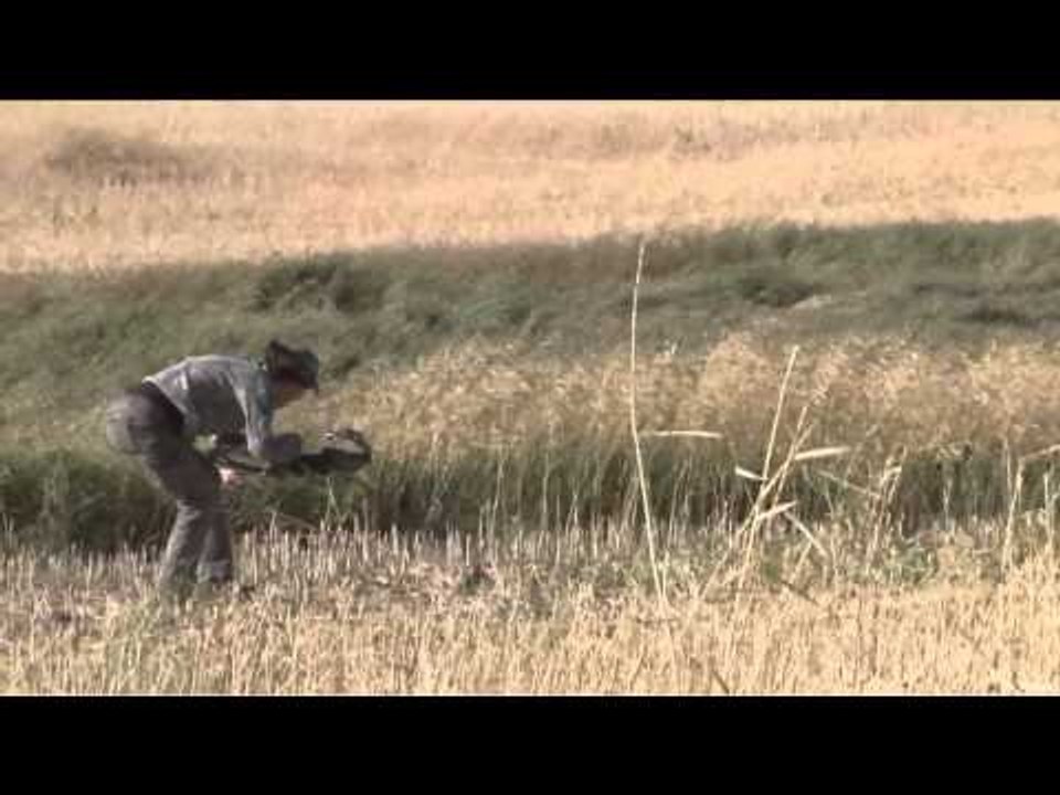 Relentless Pursuit  - High Winds and High Hopes