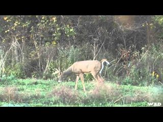 Relentless Pursuit  - Long Shot