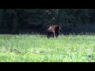 OutfittersRatingTV - BC Bears Part 1