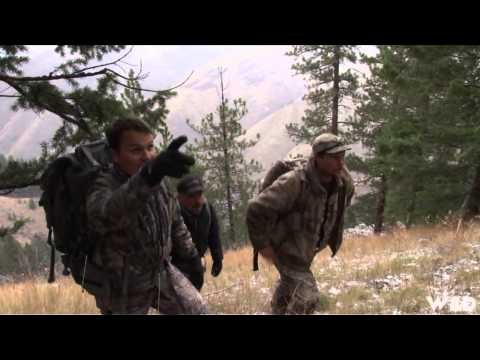 Long Range Pursuit - Public Land Mule Deer at Heaven