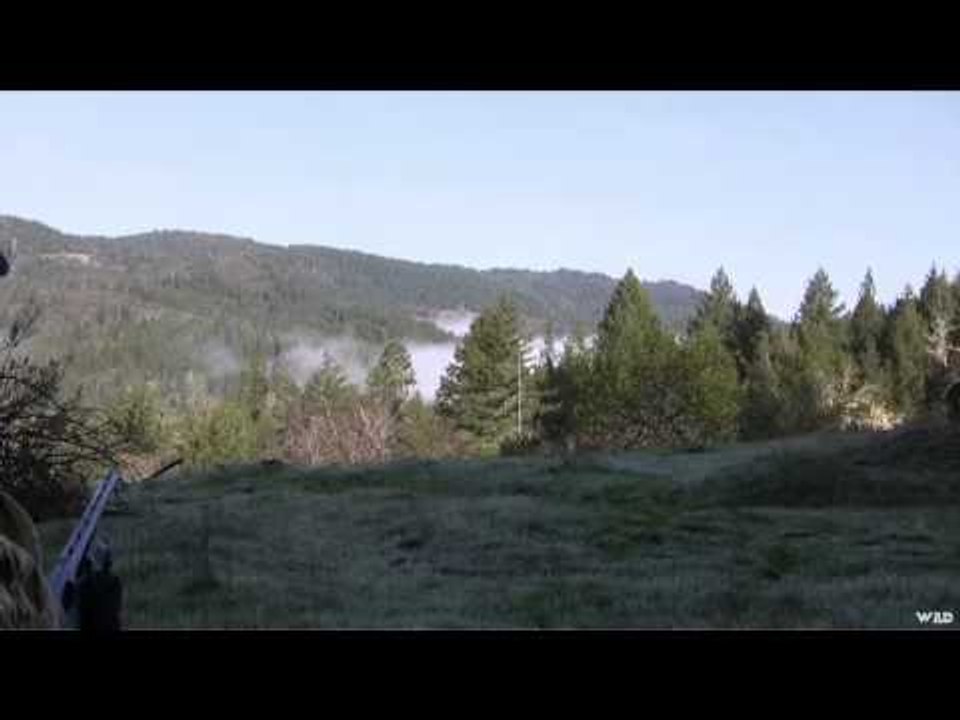 M2D Camos Livin the Dream - California Turkeys