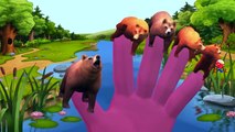 Animals Cartoons Singing Finger Family Nursery Rhymes And More Children Nursery Rhymes For