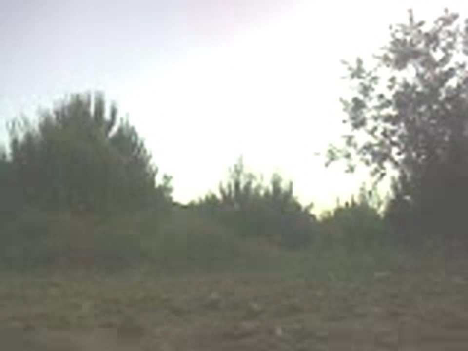 quad