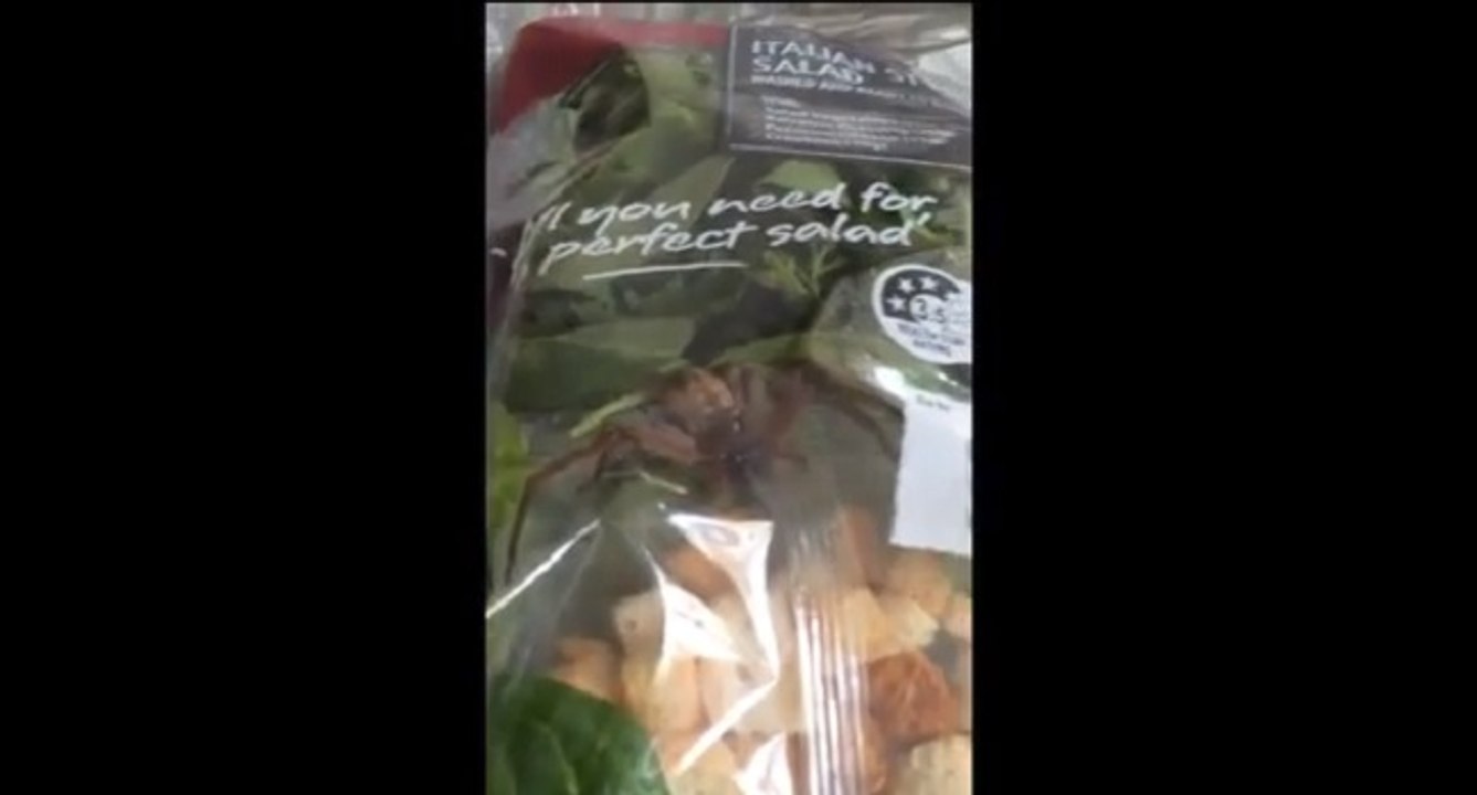 Elle trouve une grosse araignée dans son sachet à salade