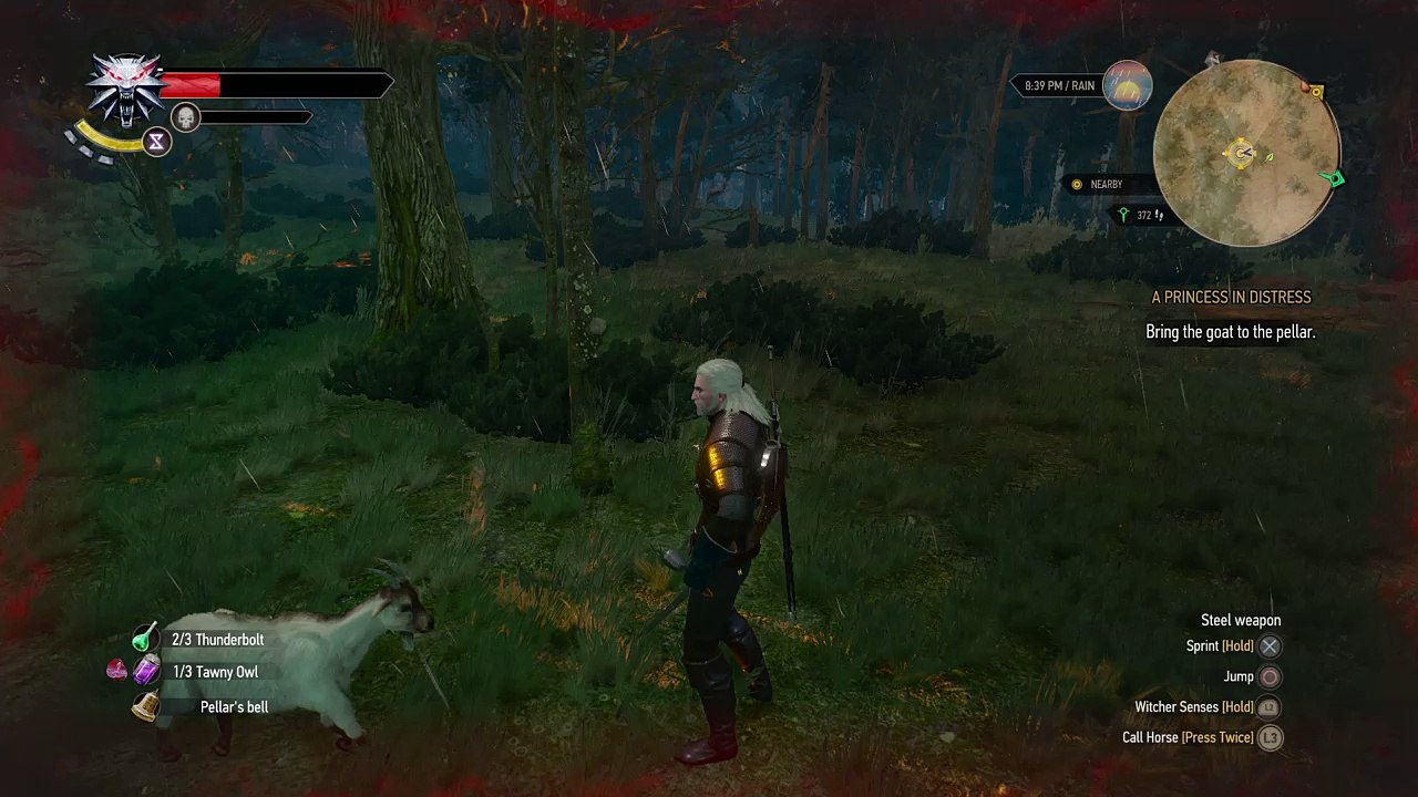 Witcher 3 - lovegoat
