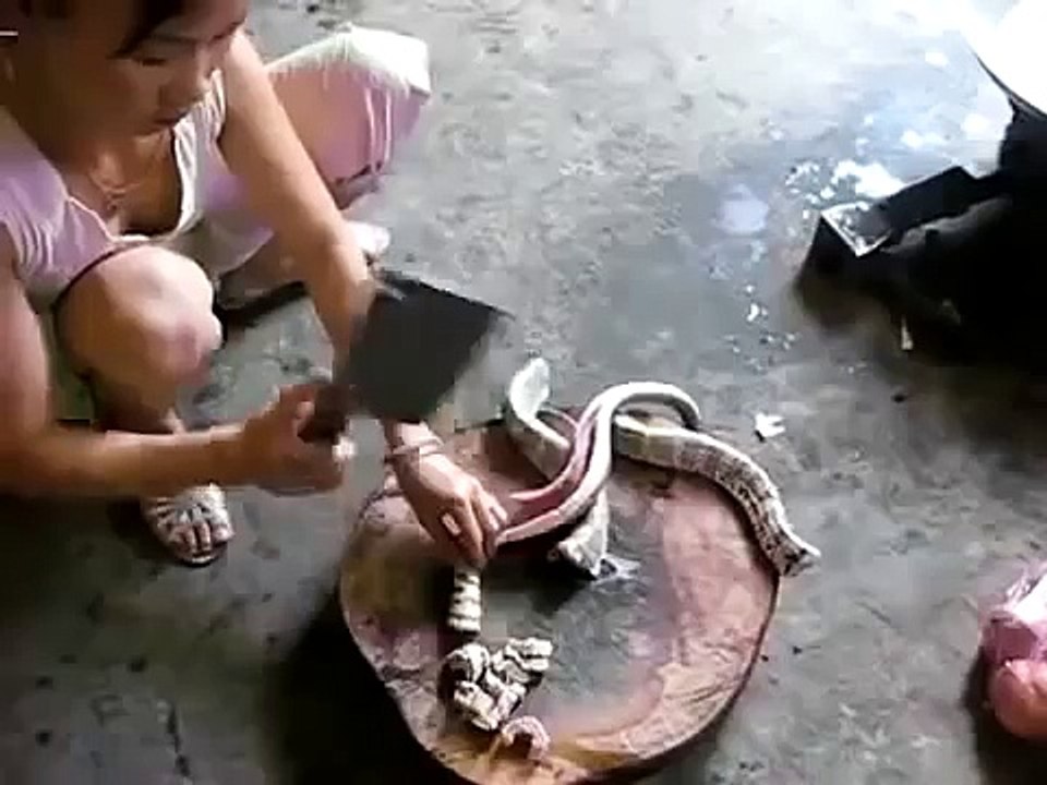Canlı Canlı Yılan Doğrayıp Yiyen Çinliler