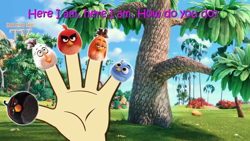 Angry Birds 3D Finger Family / Nursery Rhymes