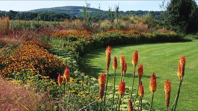 Английский сад