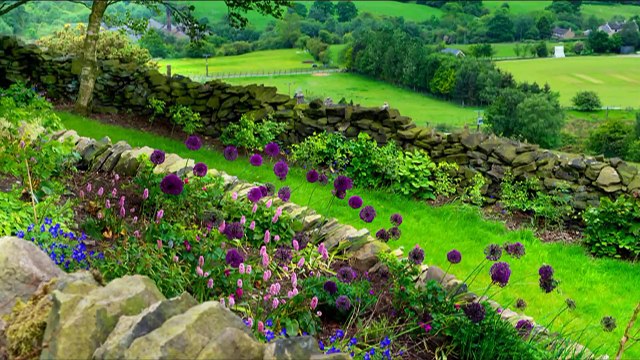 Сад в долине