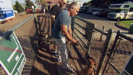 Cesar 911: Deleted Scene: Biting Baby Boy