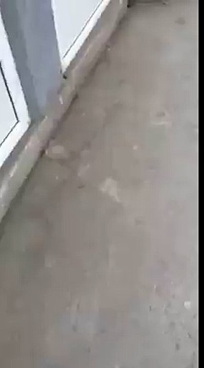 Ndodh në Kosovë!