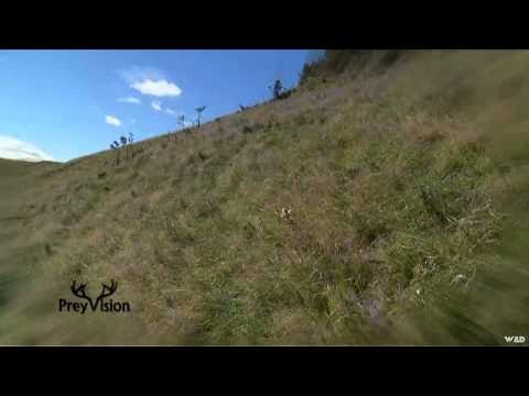 OutfittersRatingTV - New Zealand Red Stag