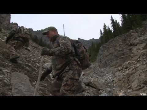OutfittersRatingTV - Shadow Mountain BC