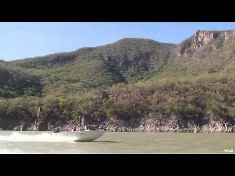 Adventures South of the Border - Huites Lake Big Bass