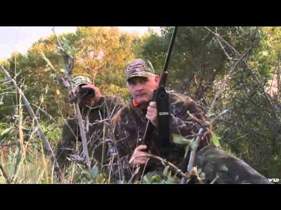 Wild Sheep Foundations Hittin the Outdoors - ELK Elk Elk