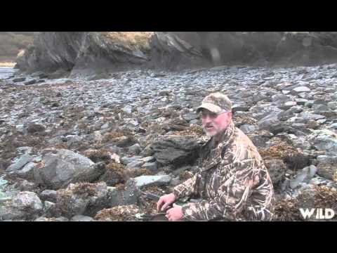 MOJOs Coming to the Call - The Kodiak Challenge Part 1