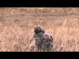 Predator Quest  - Coyote Calling