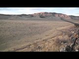 Dead Dog Walkin - North Navada Coyotes