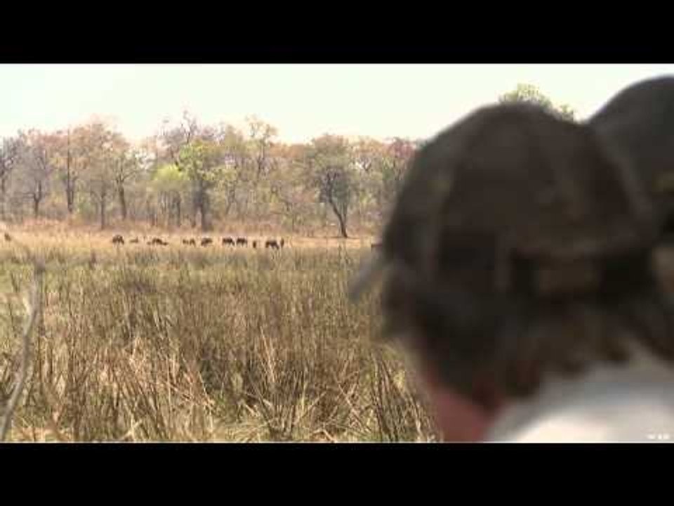 Hunt TV - Sable Sable Sable