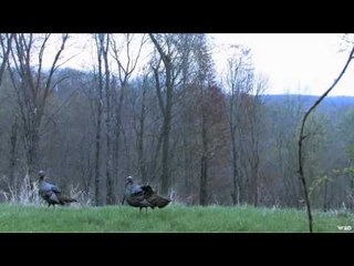 AWay Outdoors  - Dave  Mike