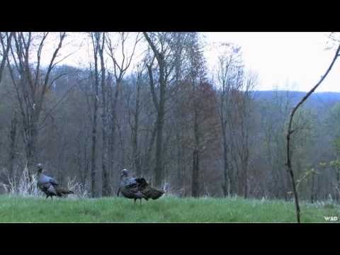 AWay Outdoors - Dave Mike