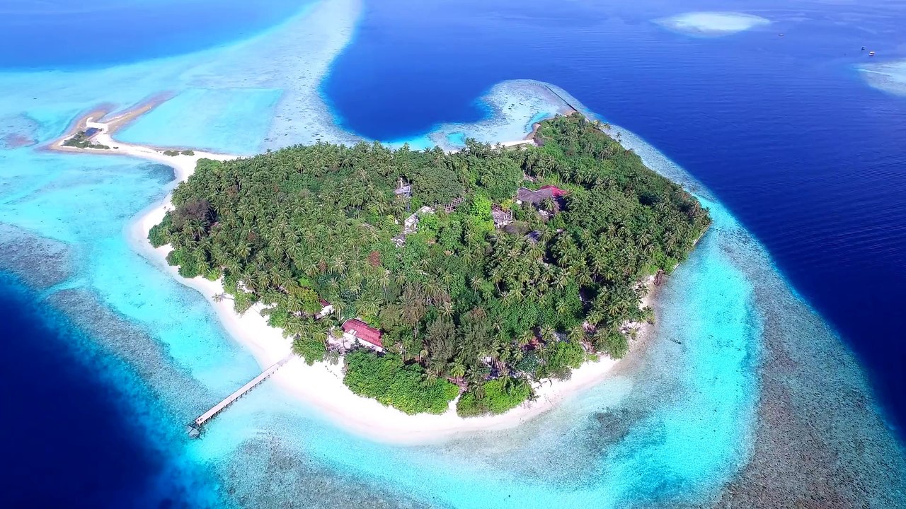 Malvides from the air HD