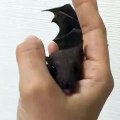 Bats get a really bad rap. They are very helpful creatures!