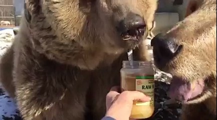 Orphaned Wildlife Center