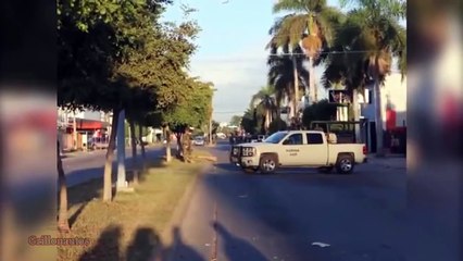 El Cholo líder de Sicarios del Chapo, " capturado"