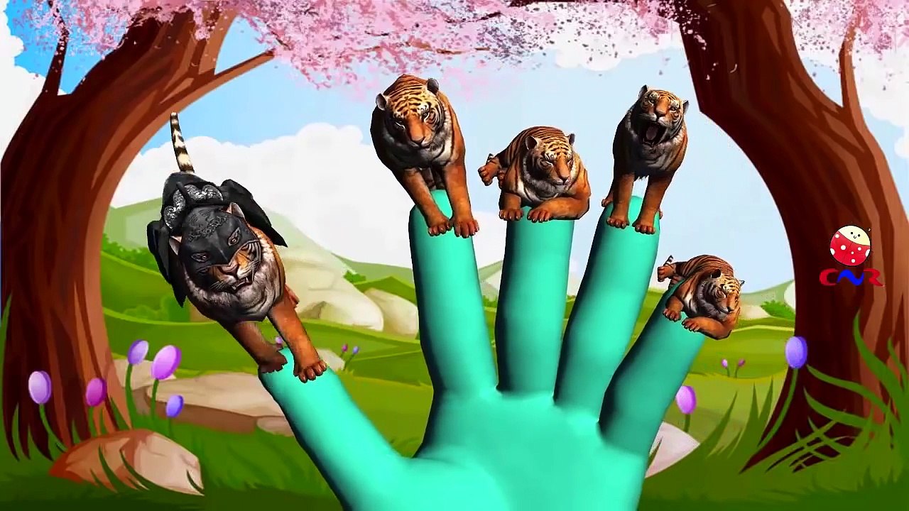 Finger Family Rhymes for Children Cheetah Lion | Tiger Cartoon Finger Family Children Nurs