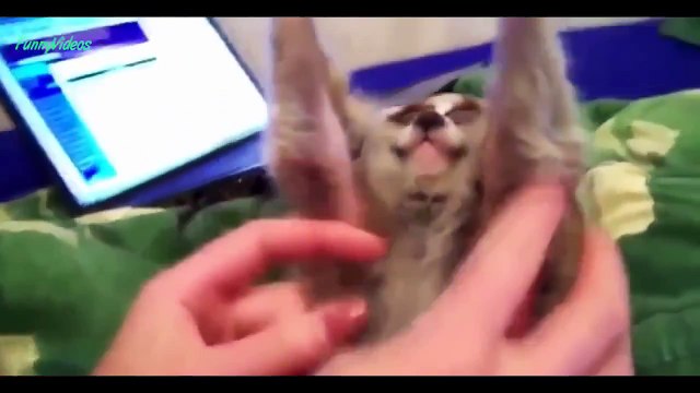 6 saniyelik komik bir video! Çok eğlenceli video özelliği