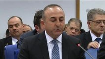 Çavuşoğlu: 