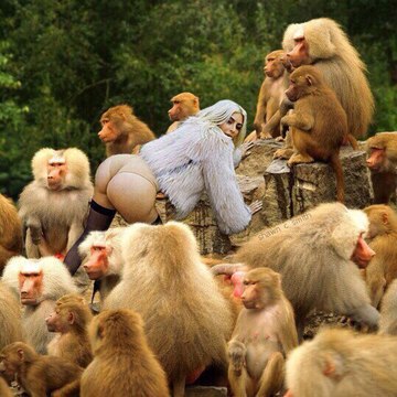 Я РЖАЛ ДО СЛЁЗ! РЖАЧ, СМОТРЕТЬ ДО КОНЦА