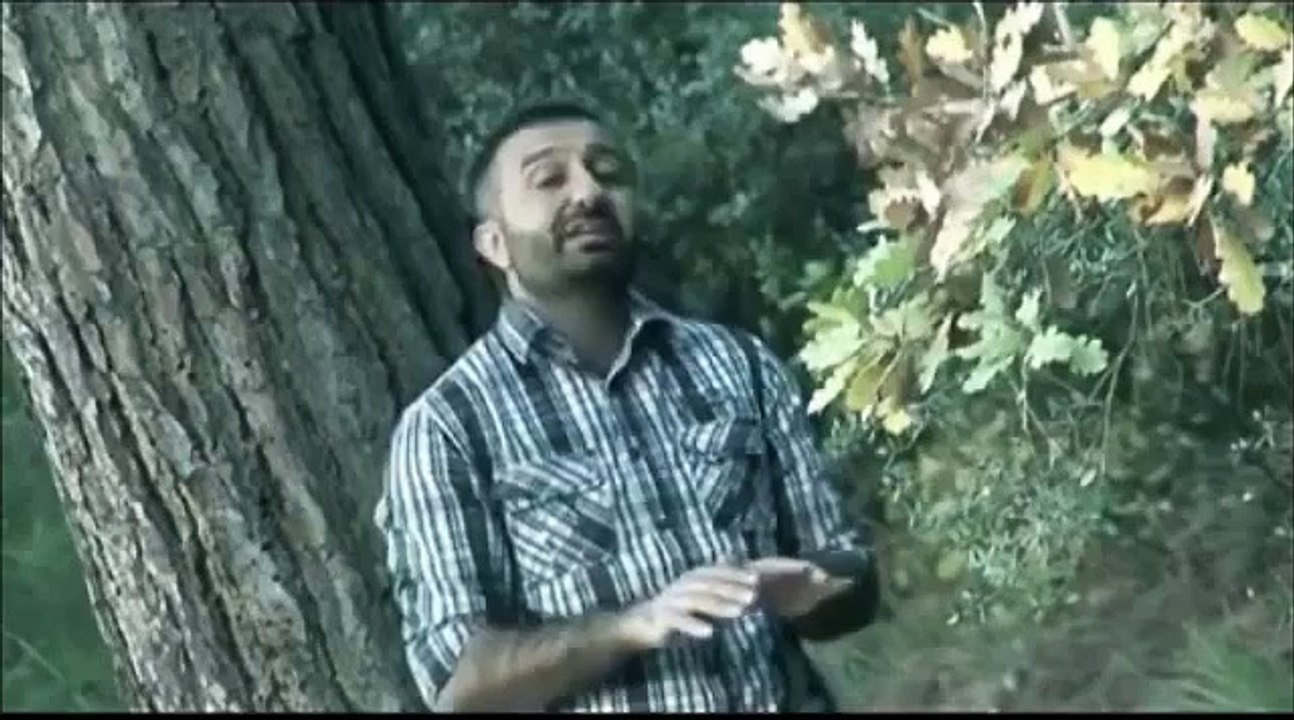 Aziz Asmin - Were (2014)