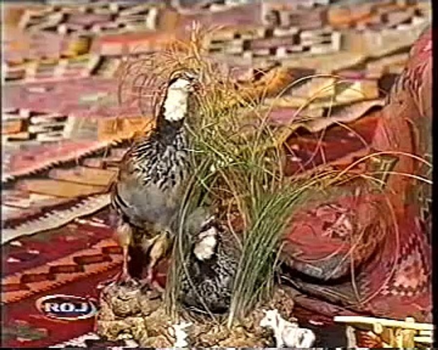 Hozan Aydin - Ezû Kewa Gozel