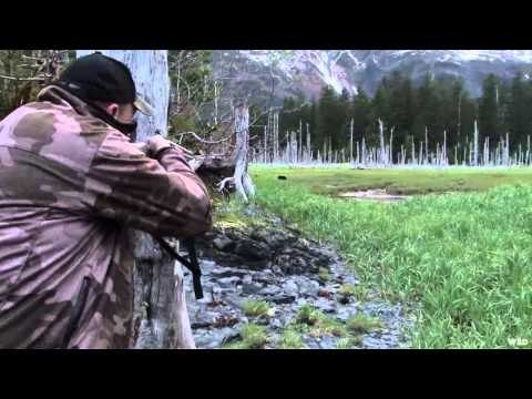 North American Safari - Alaska Bear Part 2
