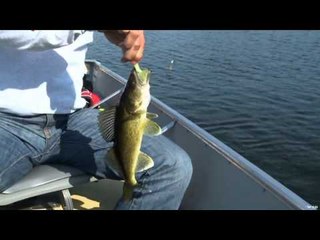 Fish TV - Northern Saskatchewan Walleye Fishing