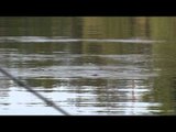 Extreme Angler TV - The Cart Wheeling Smallmouth of Lake Temagami