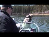 BC Outdoors Sport Fishing - A Fish of a Lifetime