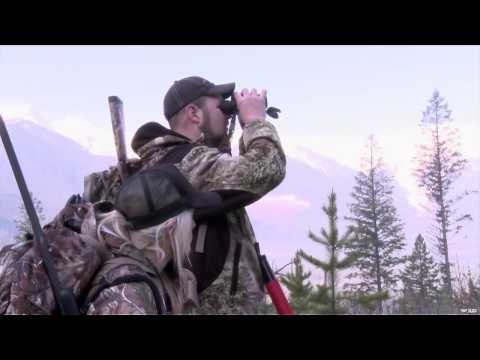 Steves Outdoor Adventures - BC Bear