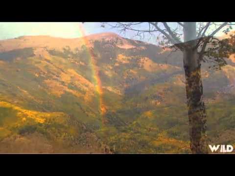 Primos The Truth About Hunting - Elk Hunting at Ceilo Vista Ranch Part 1