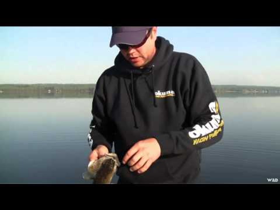 Maximum Limit Fishing - Alberta Walleye