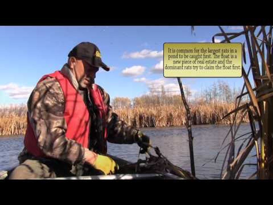 Trapping Inc - Muskrat Trapping