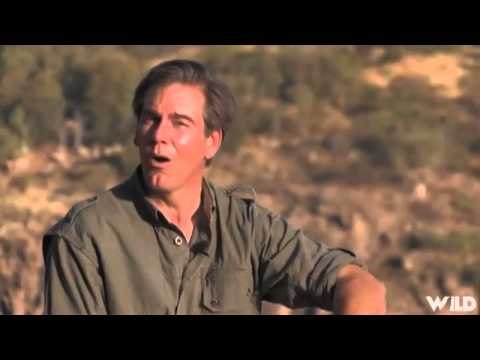 Safari Hunters Journal - Preview Show