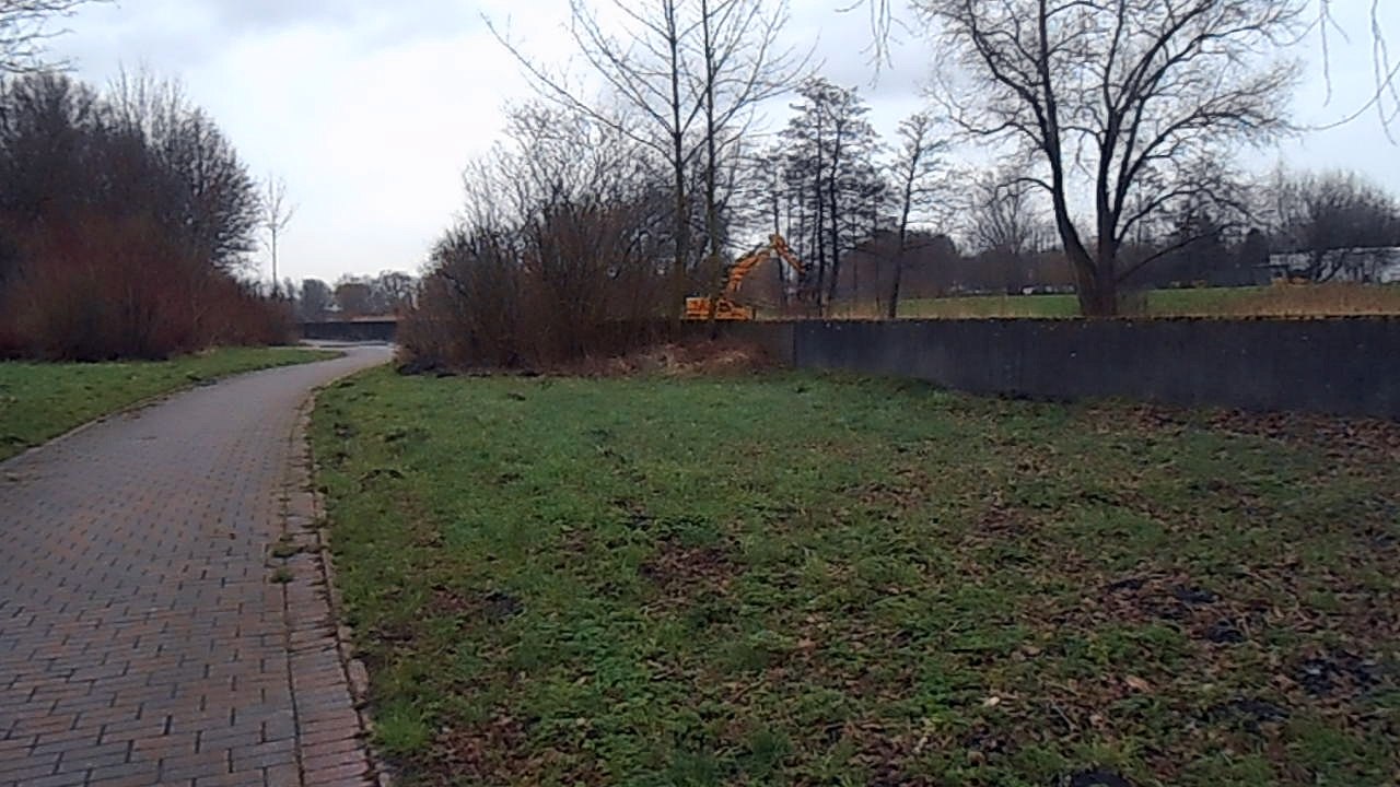 Wenn Herr Trump nur Elektroautos in der USA einführen lässt, dann hat Donald John Trump der 45. Präsident der Vereinigten Staaten, die größte Umweltverschmutzung der Welt verhindert. Formel 1, nur noch mit Elektroautos? Wir brauchen Leitfiguren, Vorbilder