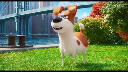 The Secret Life of Pets - 7 sec Trailer - Trailer Puppy (Comic FULL HD 720P)